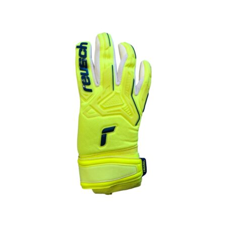 Reusch Attrakt Freegel Silver