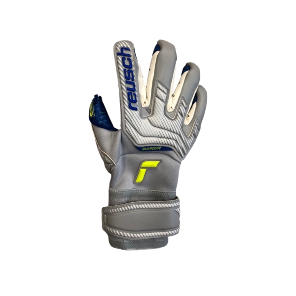 Reusch Attrakt Fusion Guardian