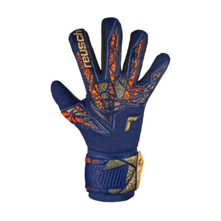 Reusch Attrakt Silver NC